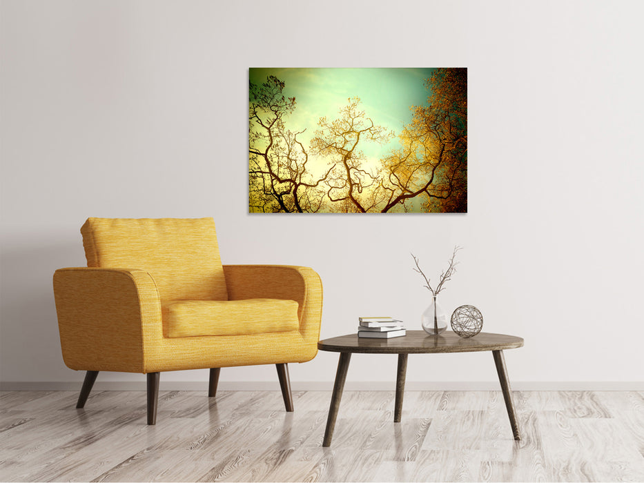 Canvas print Trees in autumn