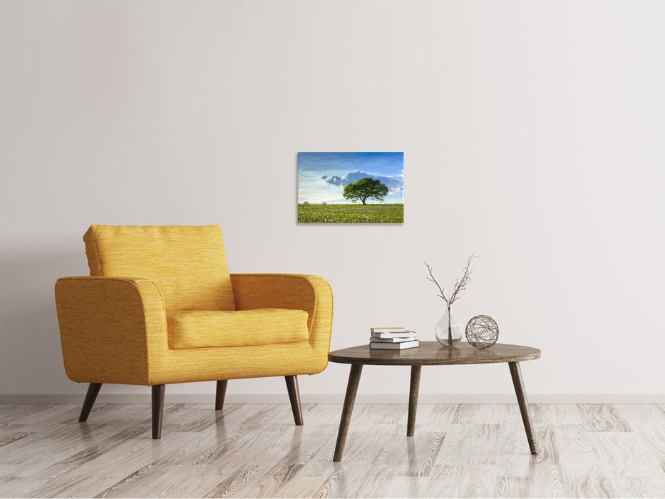 Canvas print Spring tree