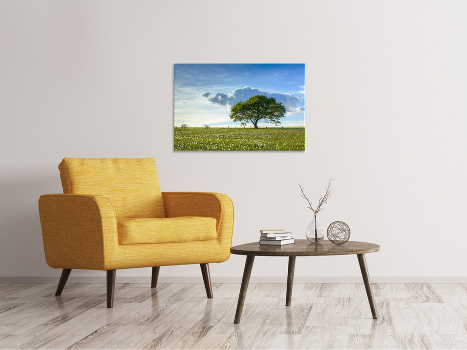 Canvas print Spring tree