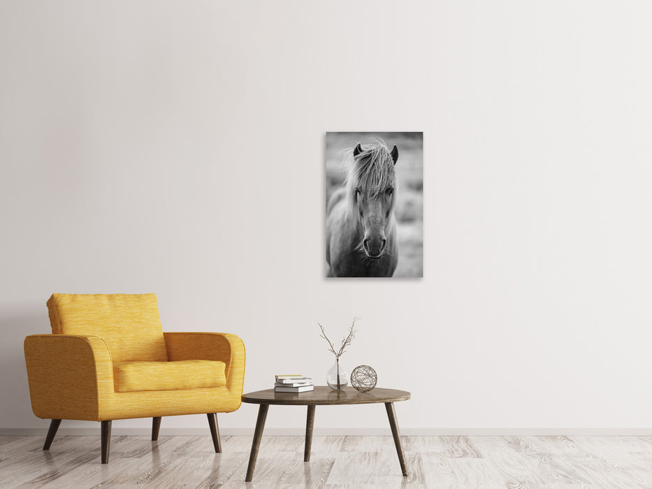 Canvas print There is a horse in the hallway