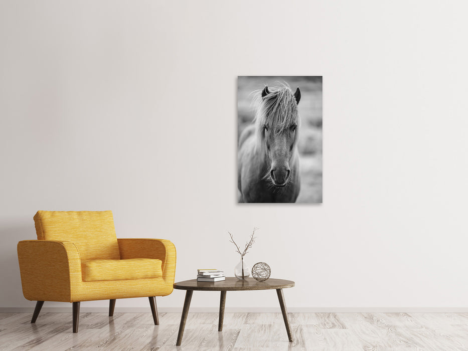 Canvas print There is a horse in the hallway