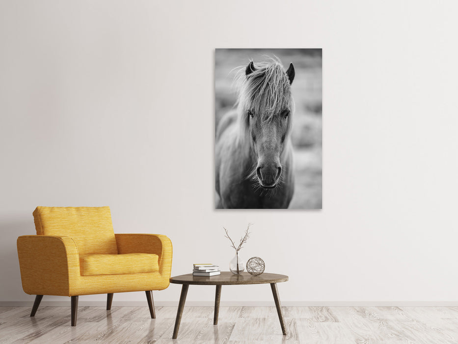 Canvas print There is a horse in the hallway