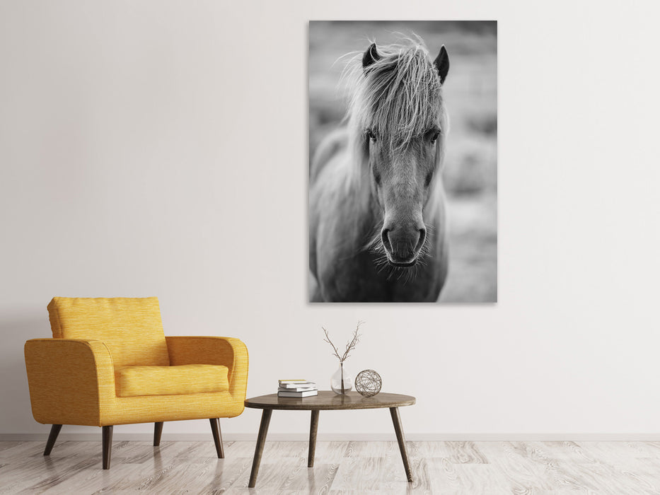 Canvas print There is a horse in the hallway