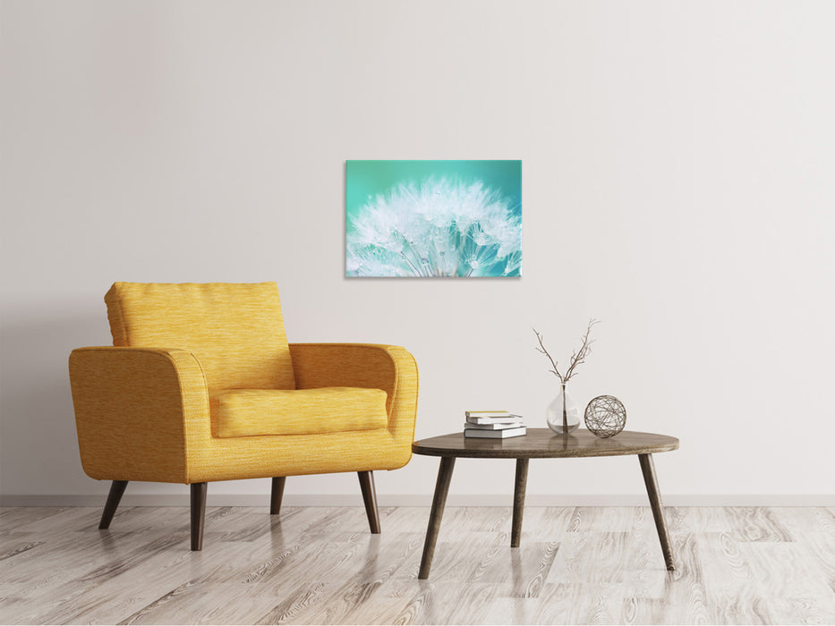 Canvas print Close Up Dandelions in Morning Dew