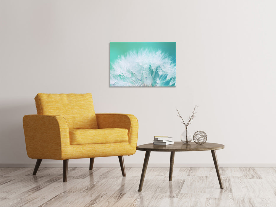 Canvas print Close Up Dandelions in Morning Dew