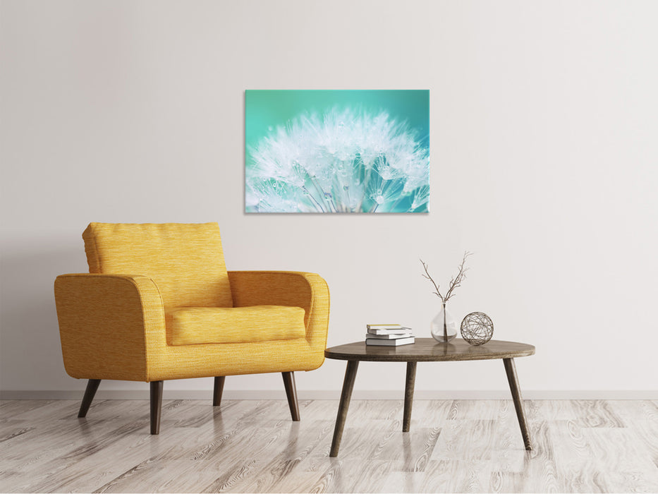 Canvas print Close Up Dandelions in Morning Dew