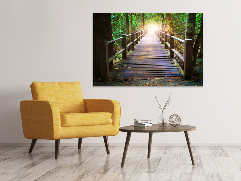 Canvas print The bridge in the forest