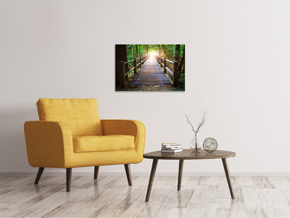 Canvas print The bridge in the forest