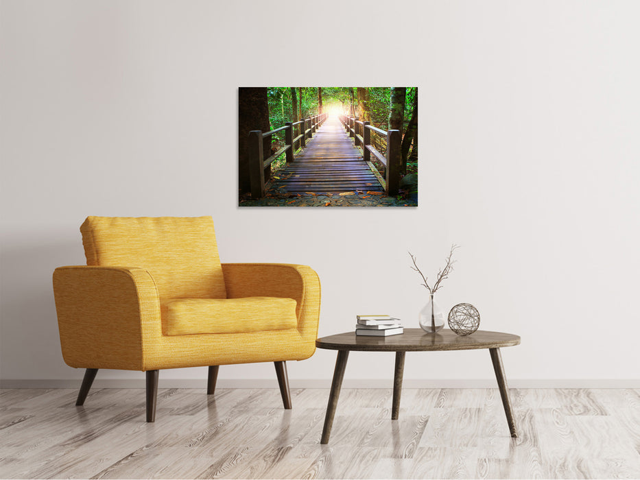 Canvas print The bridge in the forest