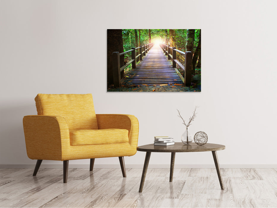 Canvas print The bridge in the forest