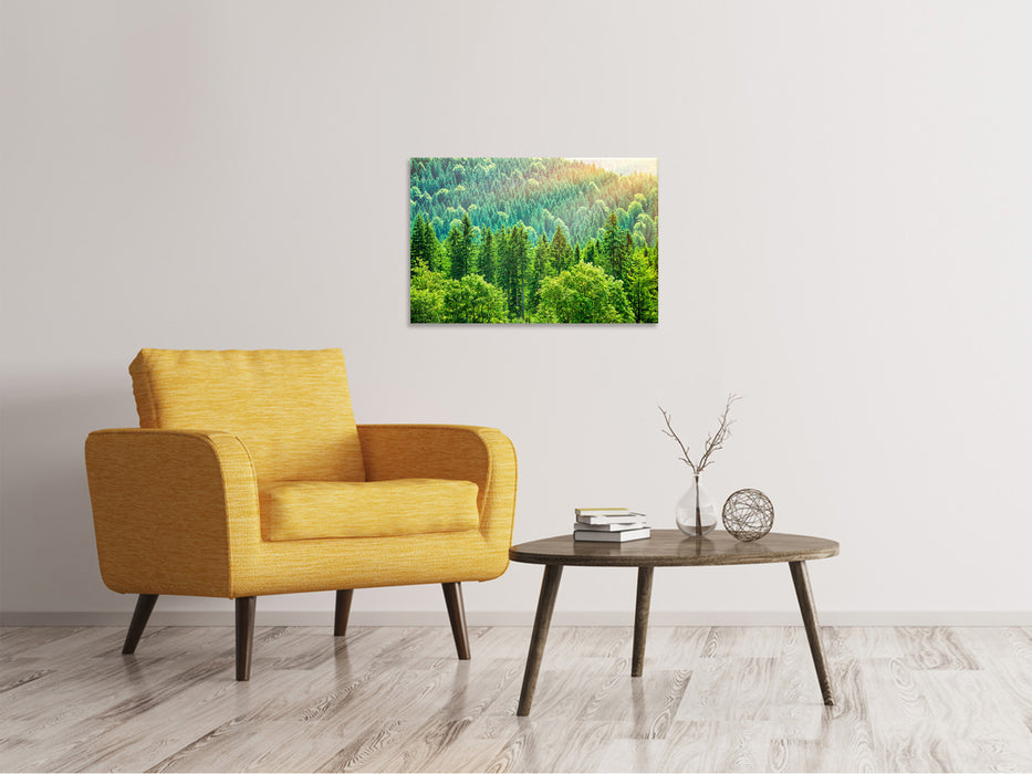 Canvas print The forest hill