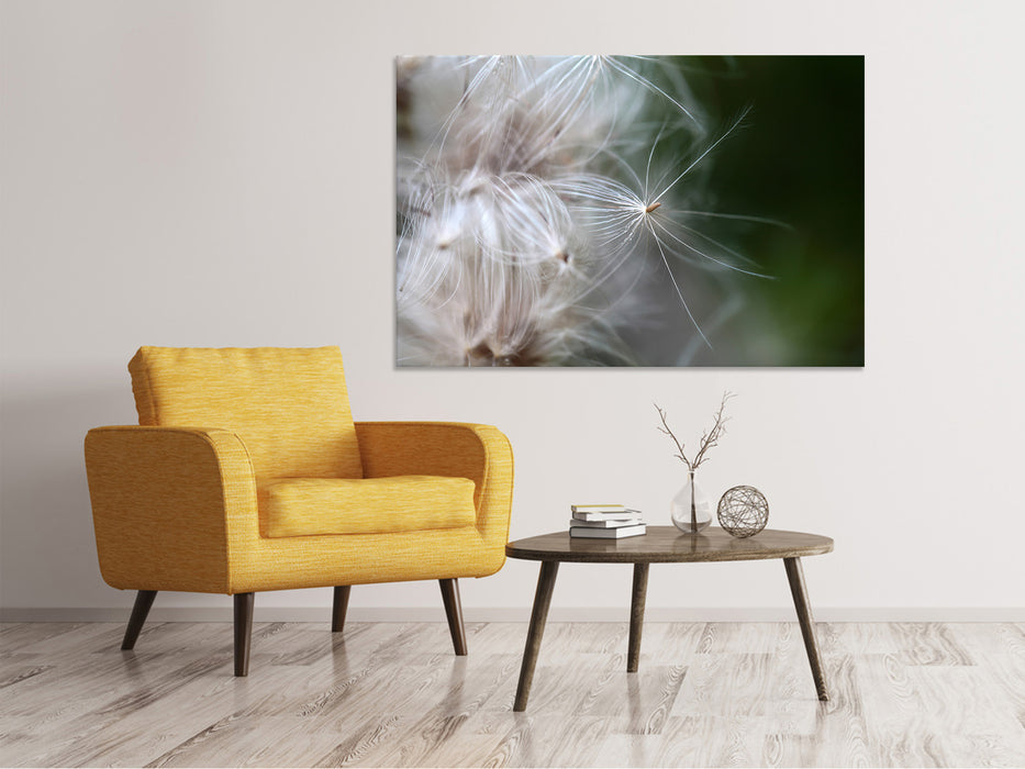 Canvas print Close up flower fibers