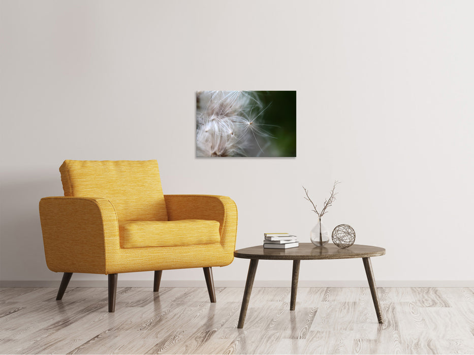 Canvas print Close up flower fibers