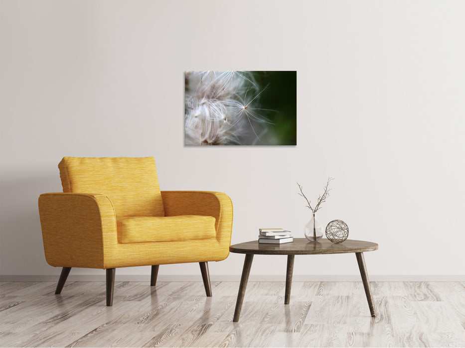 Canvas print Close up flower fibers