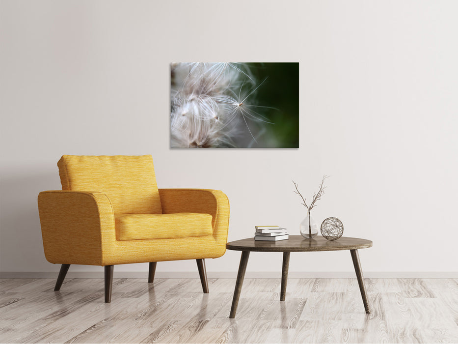 Canvas print Close up flower fibers