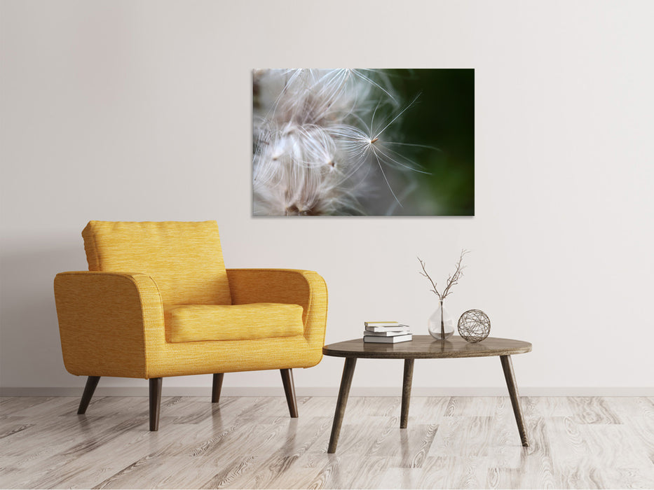 Canvas print Close up flower fibers