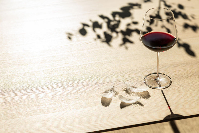 ZWIESEL GLAS Burgunderglas Vuelo 848ml 2er Pack