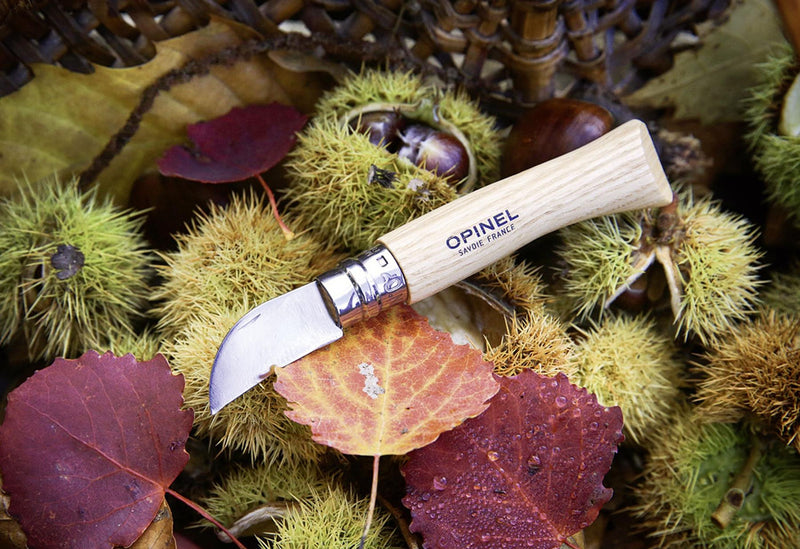 OPINEL No 07 Kastanienmesser