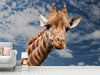 Fototapete Achtung Giraffe! - Tag2 by Suzenna