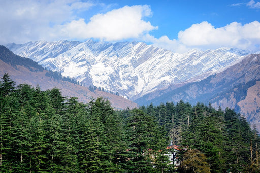 Fototapete Ausblick auf Manali