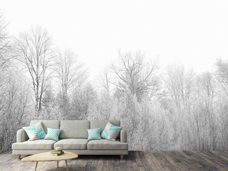 Wall Mural Birch trees in the snow