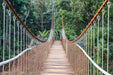 Fototapete Brücke für Mutige