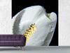 Fototapete Calla Close up in weiss - Tag2 by Suzenna