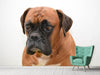 Fototapete Der Boxer - Tag2 by Suzenna