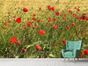 Fototapete Der Mohn im Wind - Tag2 by Suzenna