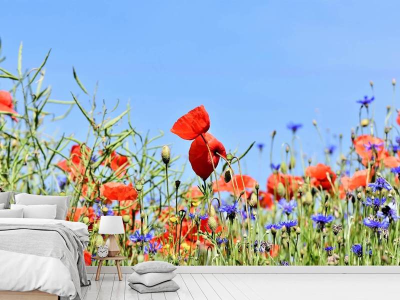 Fototapete Der Mohn in der Blumenwiese - Tag2 by Suzenna