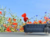 Fototapete Der Mohn in der Blumenwiese - Tag2 by Suzenna