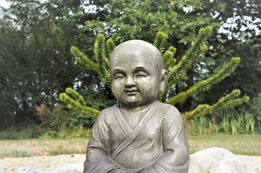 Fototapete Der weise Buddha