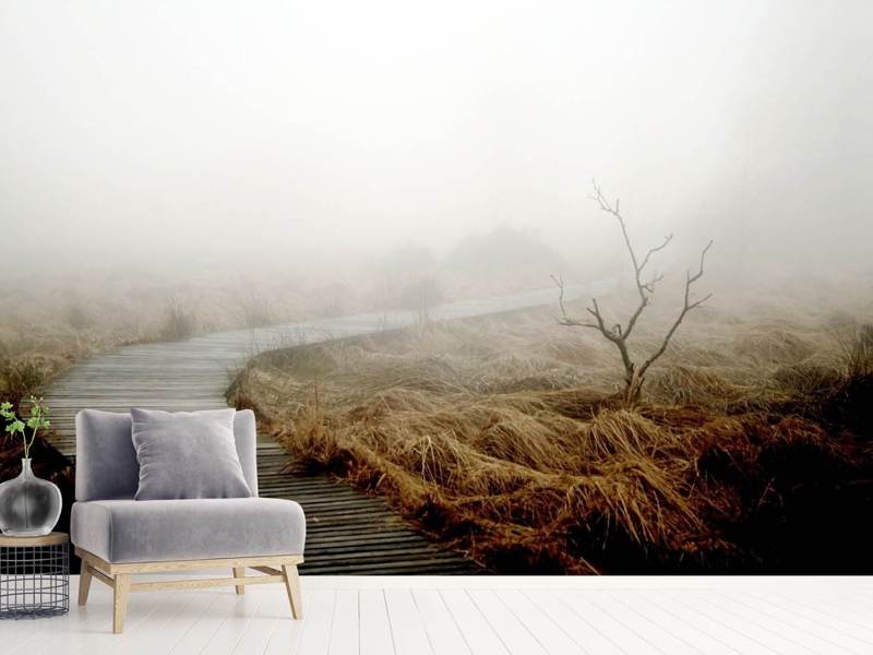 Wall Mural Dense fog