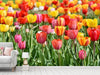 Fototapete Ein buntes Tulpenfeld - Tag2 by Suzenna