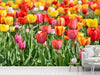 Fototapete Ein buntes Tulpenfeld - Tag2 by Suzenna