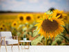 Fototapete Eine Sonnenblume im Feld - Tag2 by Suzenna