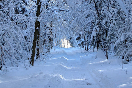 Fototapete Endlich Winter 