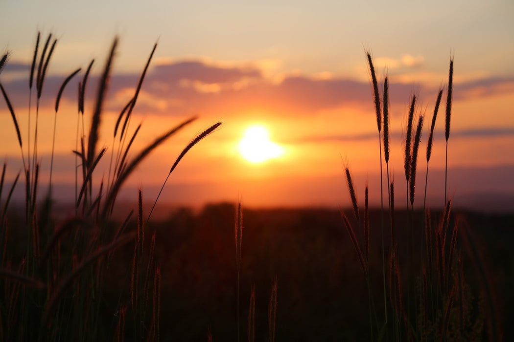 Fototapete Entzückender Sonnenuntergang