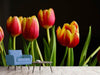 Fototapete Farbenfrohe Tulpen - Tag2 by Suzenna