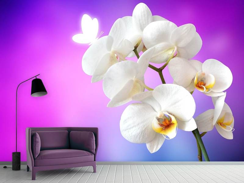 Fototapete Flower Power Orchidee