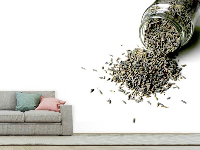 Wall Mural Dried lavender