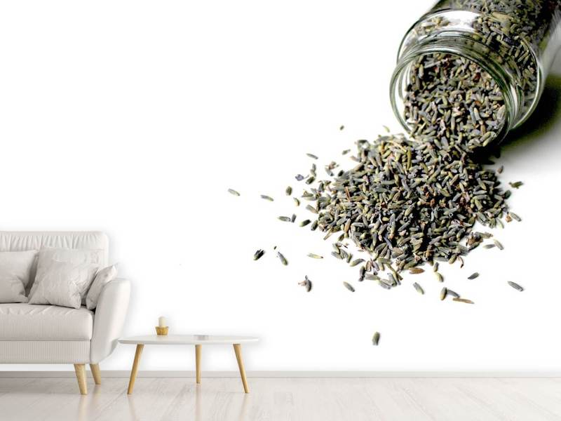 Wall Mural Dried lavender