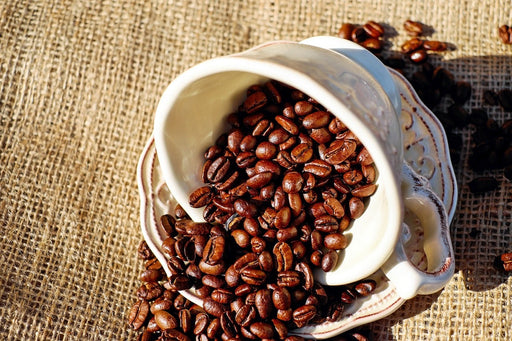 Fototapete Kaffeebohnen in der Tasse