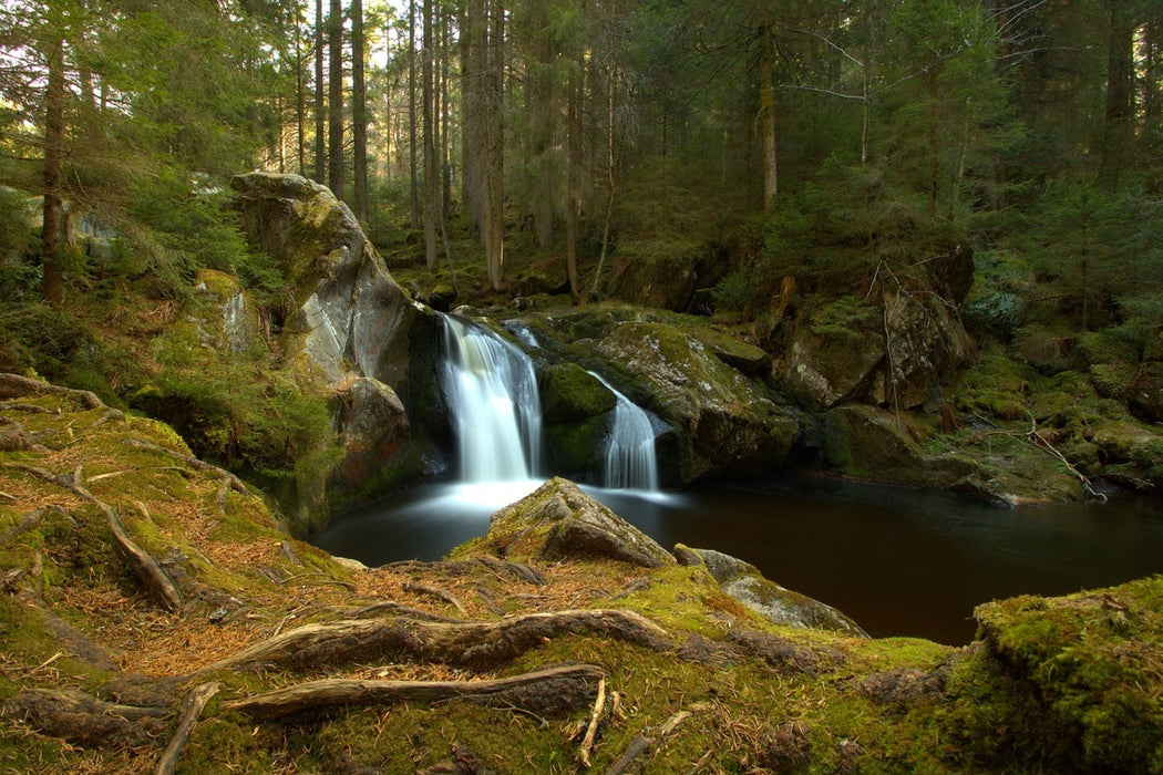 Fototapete Kleiner Wasserfall im Wald