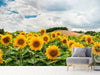 Fototapete Landschaft mit Sonnenblumen - Tag2 by Suzenna