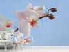 Fototapete Orchidee im Himmel - Tag2 by Suzenna