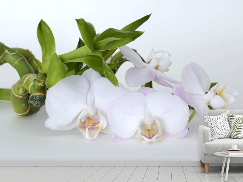 Fototapete Orchidee und Bambus - Tag2 by Suzenna