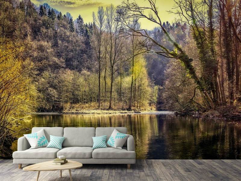 Wall Mural Lake in the forest