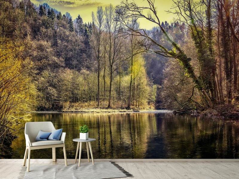 Wall Mural Lake in the forest