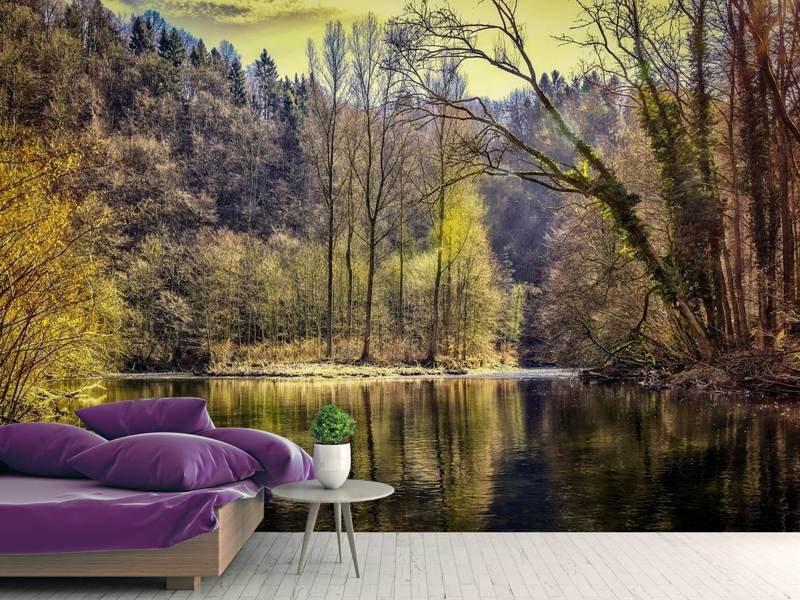 Wall Mural Lake in the forest